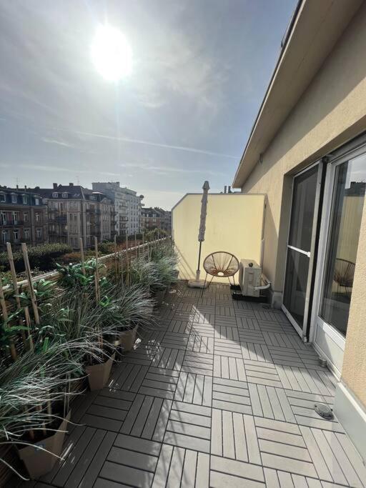 Appartement Cosy Orangerie Estrasburgo Exterior foto