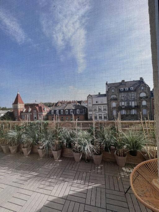 Appartement Cosy Orangerie Estrasburgo Exterior foto